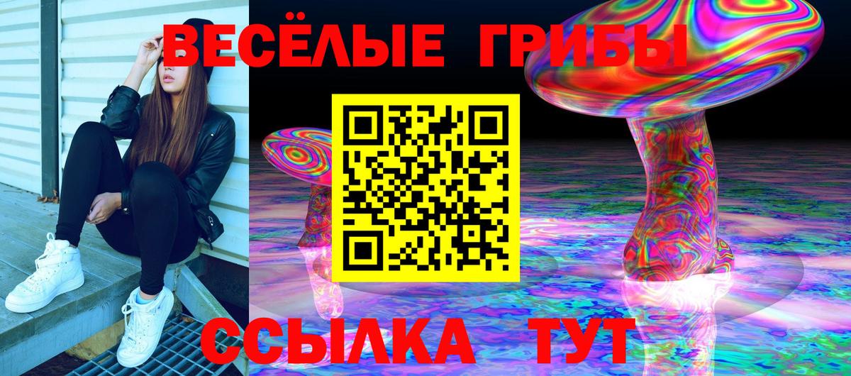 Псилоцибиновые грибы мухоморы Курганинск