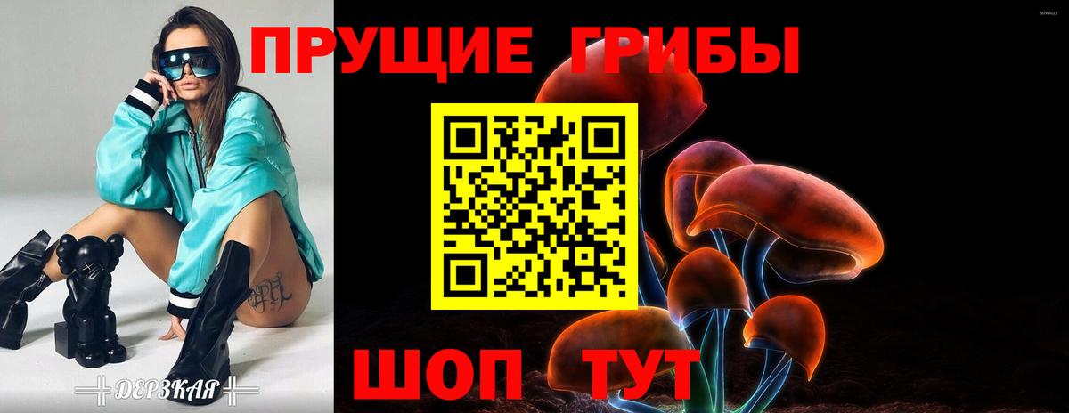 Псилоцибиновые грибы ЛСД  Псилоцибиновые грибы Psilocybe  Вход с VPN  Курганинск 